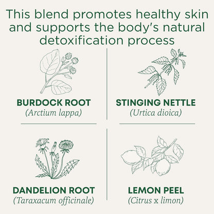 Traditional Medicinals Organic, Dandelion Leaf & Root - Dandelion Root Tea, Supports Normal Detox + Digestion - Kosher, Non-GMO, Caffeine-Free, Compostable - 16 Tea Bags