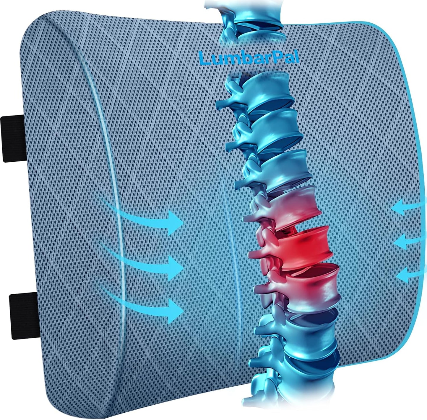Lumbar Support Pillow for Office Chair, Back Support, Memory Foam, Grey | Improve Sitting Posture & Back Pain Relief. Lumbar Pillow Fits Office, Gaming & Car Chairs with Adjustable Dual Straps