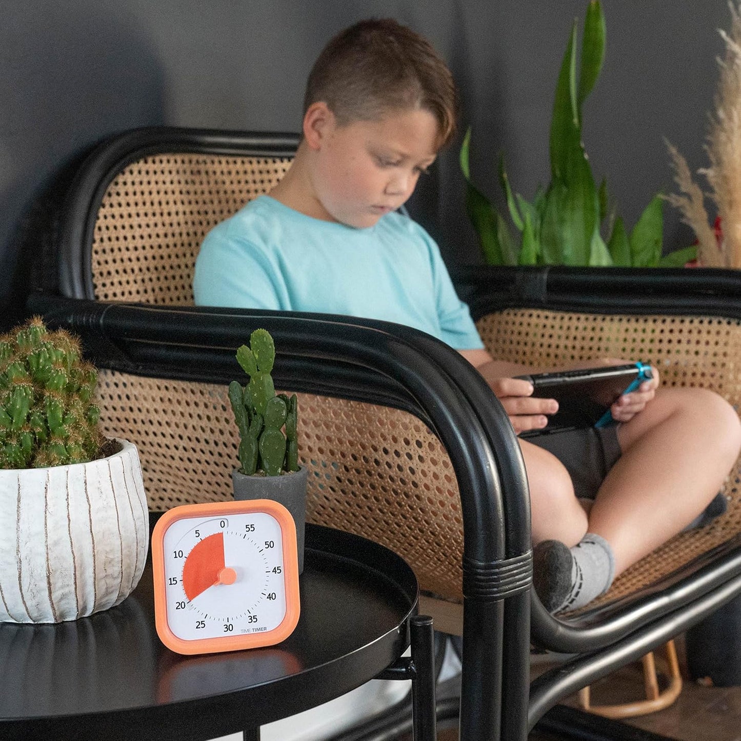 TIME TIMER Home MOD – 60-Minute Visual Timer Home Edition, Silent Operation Study Tool for Kids Desk, Homeschool Supplies, Office & Meetings (Fern Green)
