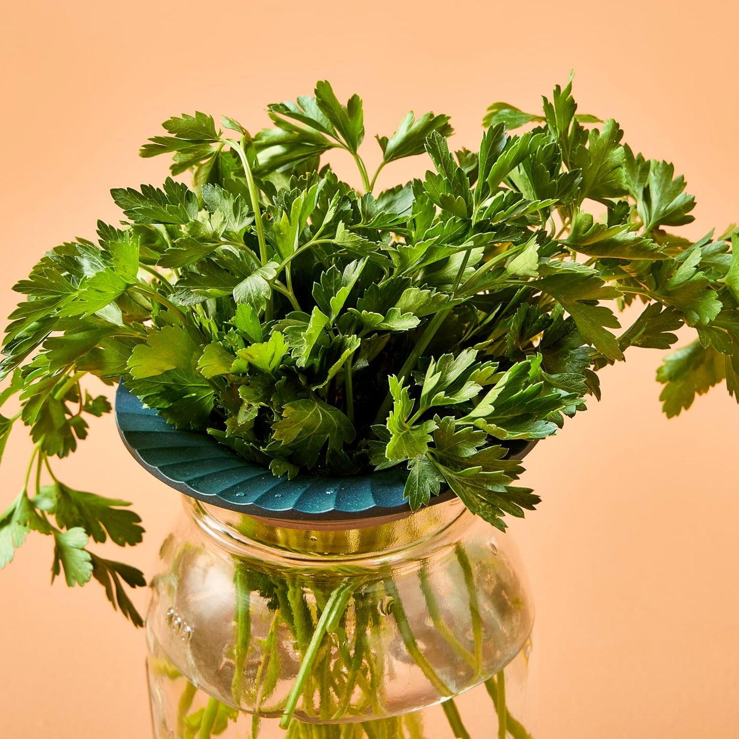 Modern Sprout Eco-Friendly Produce Keeper for Fresh Herbs & Greens - 2 Pack | BPA-Free, Sustainable Materials - Extends Freshness Up to 2 Weeks - Gift for Plant Lovers and Home Chefs