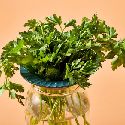 Modern Sprout Eco-Friendly Produce Keeper for Fresh Herbs & Greens - 2 Pack | BPA-Free, Sustainable Materials - Extends Freshness Up to 2 Weeks - Gift for Plant Lovers and Home Chefs