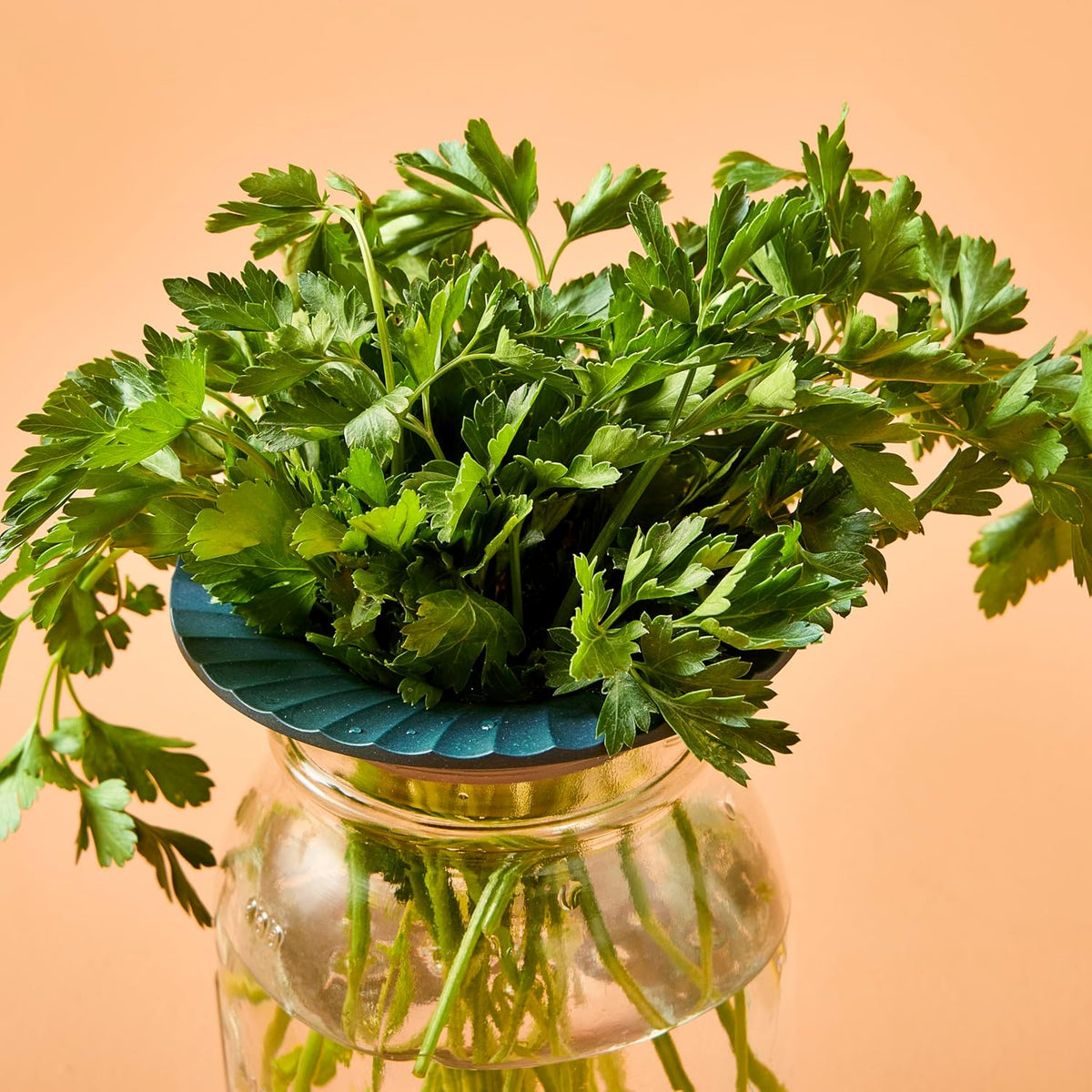 Modern Sprout Eco-Friendly Produce Keeper for Fresh Herbs & Greens - 2 Pack