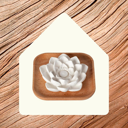 Plant Therapy Lava Rock Passive Diffuser for Essential Oils Great for Decorating at Home, Office or Car, and Gift-Giving
