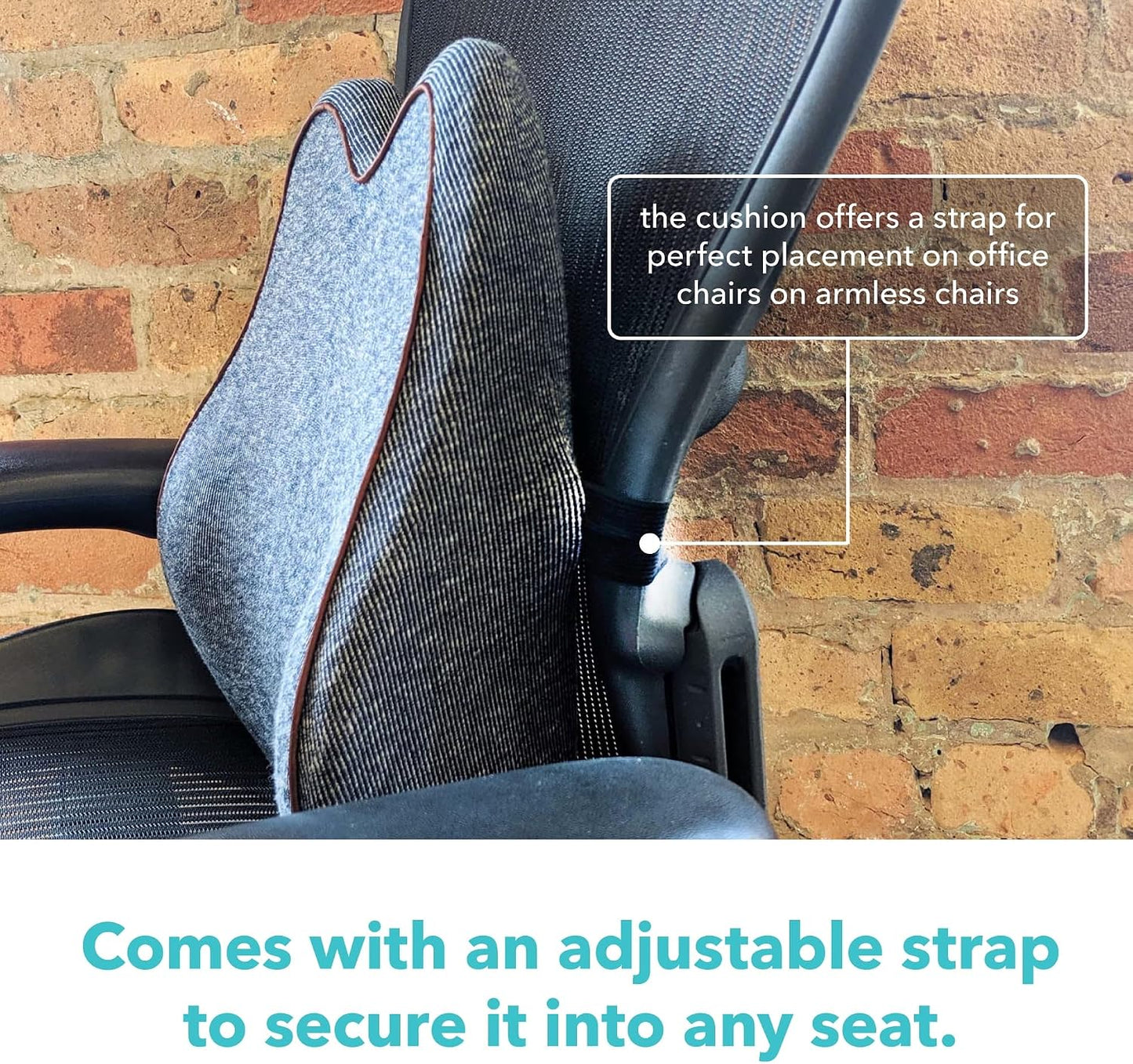Cubii Cushii V2 Back Support Cushion for Back and Lower Back Pain Relief Universal Fit for Desk, Office, Kitchen Chairs, Couch Cushions with Advanced Lumbar Support
