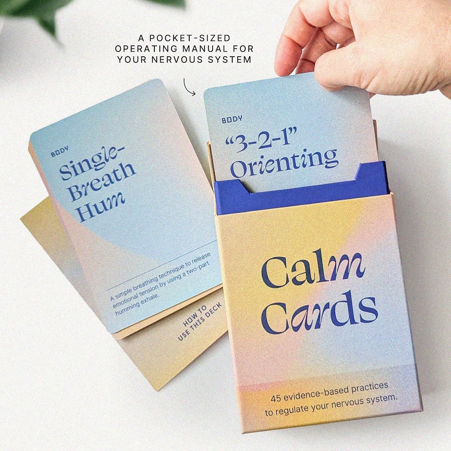 Holstee Calm Cards: 45 Science-Backed Mindfulness Exercises for Anxiety & Stress Relief – Quick Somatic Practices for Emotional Regulation, Awareness & Connection – Created with Expert Jonny Miller