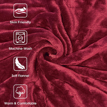 Tefici Electric Heated Blanket, Super Cozy 2-Layer Flannel Heated Throw
