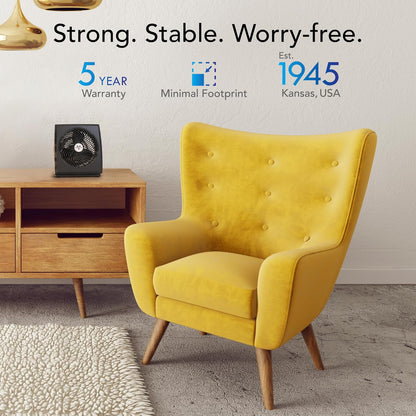 Vornado 573T Small Room Air Circulator Fan with Pivoting Head, Easy Clean Removable Grille, 3 Speed Settings, Black