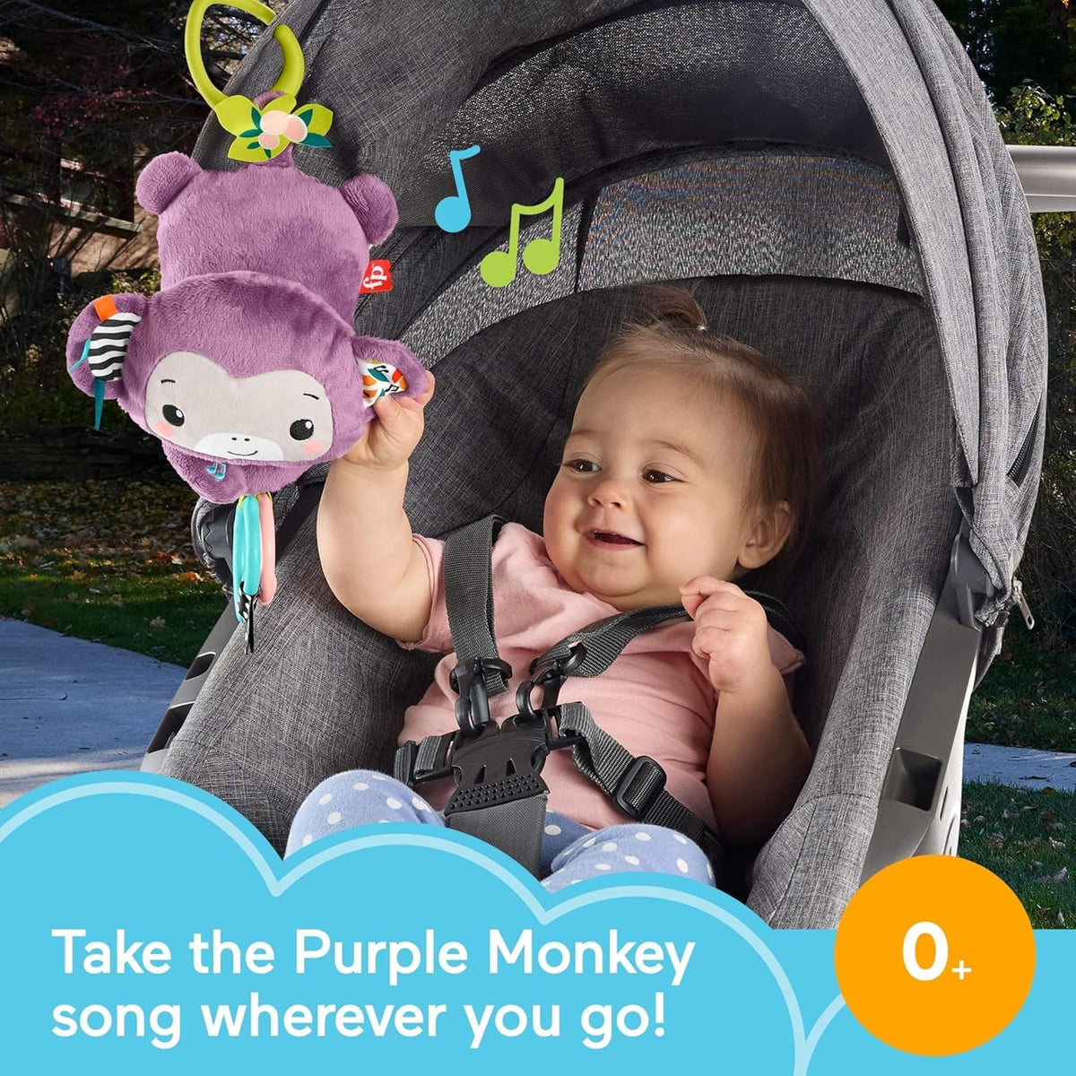 Fisher-Price On-the-Go Koala Soother