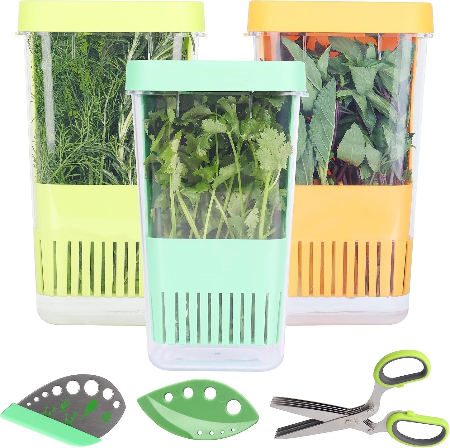 LUVCOSY 3 Pack Herb Keeper, BPA-Free Plastic Herb Saver with an Inner Basket for Cilantro, Mint, Parsley, and Asparagus, Keeps Fresh Herbs for 3 Times Longer