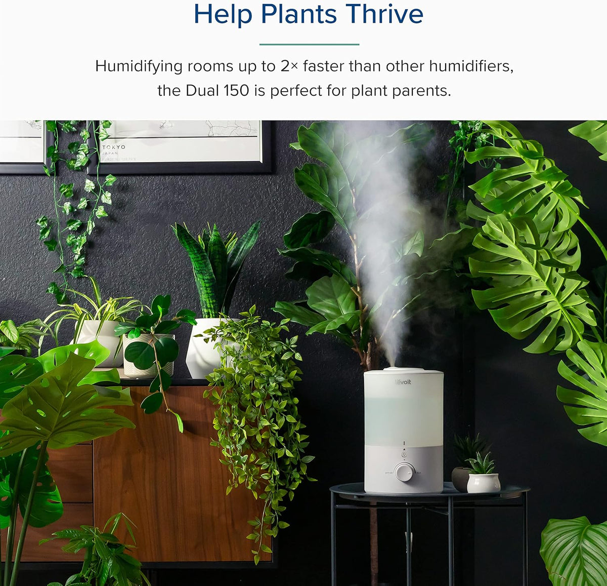 Levoit Top Fill Humidifiers for Bedroom, 2.5L Tank for Large Room, 25dB