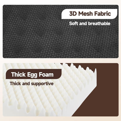 HOMBYS Egg Shaped Foam Recliner Chair Cushion for Elderly, 20×20×5inch Thicken & Extra Large Seat Cushion Cahir Pad for Couch, Armchair, Wheelchair for Easy to Reduce Hip & Lumbar Pain, Black