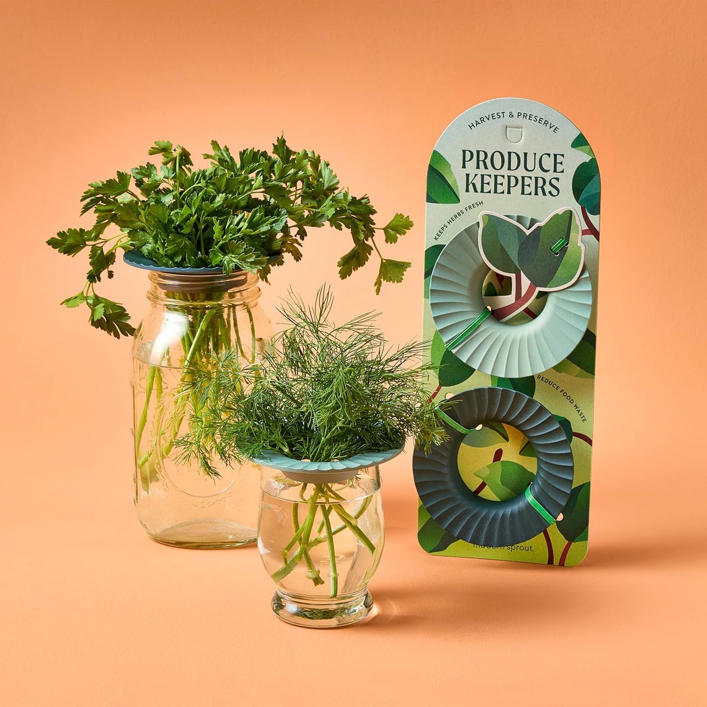 Modern Sprout Eco-Friendly Produce Keeper for Fresh Herbs & Greens - 2 Pack | BPA-Free, Sustainable Materials - Extends Freshness Up to 2 Weeks - Gift for Plant Lovers and Home Chefs