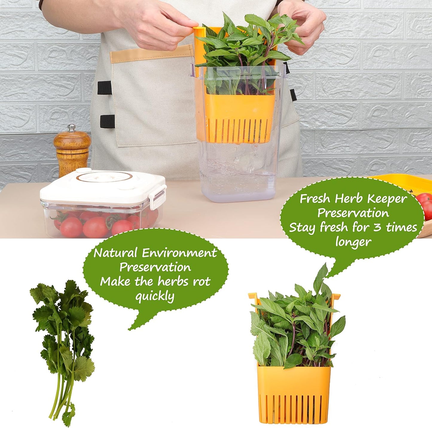2 Pack Fresh Herb Keeper for Refrigerator, Clear BPA-Free Herb Saver, Storage Container for Cilantro, Parsley, Thyme, Mint & Asparagus, Preserver Keeps Fresh Herbs for 3 Times Longer