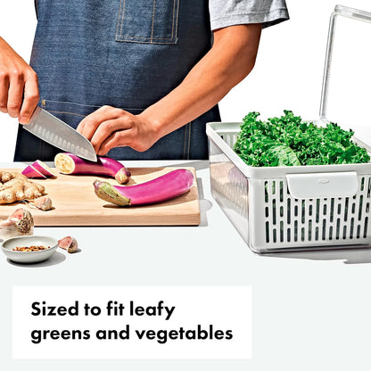 OXO Good Grips Produce Saver - Berry Keeper 2-Piece Set