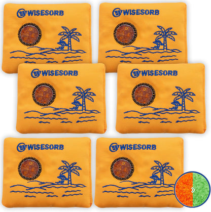 Wisesorb 500g 2pcs Rechargeable Car Dehumidifier Moisture Absorbers Bags, Reusable Desiccant Color Indicating Silica Gel Packets, Microwave Reactivated Visible Desiccant Packs for Car Closet Basement