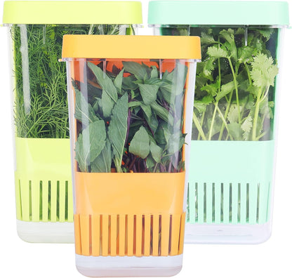 2 Pack Fresh Herb Keeper for Refrigerator, Clear BPA-Free Herb Saver, Storage Container for Cilantro, Parsley, Thyme, Mint & Asparagus, Preserver Keeps Fresh Herbs for 3 Times Longer