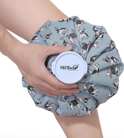 Neotech Care Ice Bag with Screw Top Lid (Smiley Face Design, 8 inch)